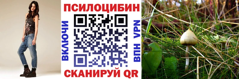 Галлюциногенные грибы GOLDEN TEACHER  Краснообск 
